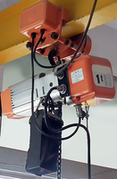 Polipasto Eléctrico de Cadena de Alta Calidad, Capacidad de 0.5~20 t