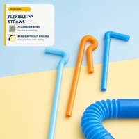 Pailles jetables écologiques Richer en PLA pour les fêtes de bubble tea et l'utilisation en bar - Biodégradables, recyclables, emballage en vrac