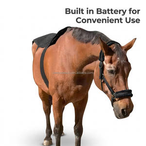 Batteria integrata per terapia con luce rossa posteriore a cavallo 660nm 850nm a infrarossi a LED per sollievo dal dolore a Led per la terapia con luce rossa involucro per la salute - Product Image 2