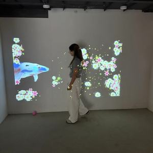 DefiLabs <strong>Excellent</strong> Quality Low Price Interactive Floor and Wall Projection <strong>System</strong> for Kids, Wedding, Event,advertising - Product Image 5