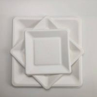 En gros alimentaire bagasse conteneur jetable biodégradable canne à sucre bagasse plaque carrée