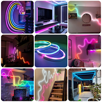 Bande LED néon intelligente flexible en PVC souple RGBIC, étanche pour extérieur, avec télécommande USB APP BT, 1M 3M 5M