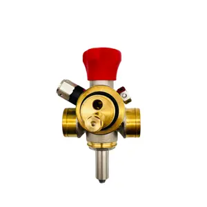 Brass khí đốt tự nhiên xi lanh chai 20mpa 24V điều khiển solenoid valve cho cng xe