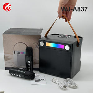 Mini Altoparlante Portatile con Microfono, Speaker Karaoke, Amplificatore Stereo 3D, Super Bass, Lettore Musicale per Sport all'Aperto - Product Image 3