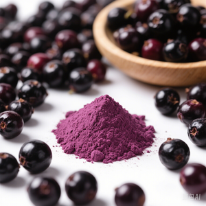 Pó de Açaí para Preparar Smoothies e Bebidas - Pó Natural Spray-Dried de Açaí - Product Image 2