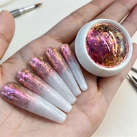 Poudre de mica opale à effet caméléon haute performance, pigment en vrac pour le nail art et les fournitures de décoration artisanale DIY
