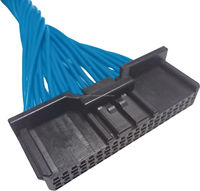 Kabel Harness Presisi Khusus MPPE 22AWG dengan Konektor IMSA 13065S-2-40A/B/C OEM ODM Perakitan Kabel untuk Komputer & Sepeda Motor