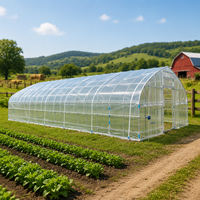 Serre tunnel économique à simple travée en film plastique pour jardin et petite exploitation agricole