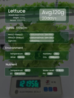 Système automatisé de tour hydroponique de NFT avec technologie agricole verticale