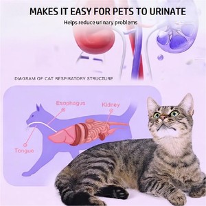 Suplemento Nutricional Masticable para Perros y Gatos, Marca Privada Personalizada, Regula el Metabolismo, Apoya la Función Renal, Salud Urinaria Diaria - Product Image 5
