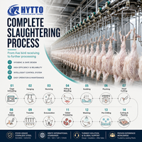 Ligne d'abattage de volailles, équipement d'abattage de poulets 3000-5000 BPH, contrôle intelligent, certifié CE, automatique