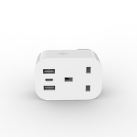 Prise intelligente WiFi RSH UK 13A avec prise de type C en plastique ABS, télécommande, 2 ports de sortie USB, compatible Alexa et Google Home
