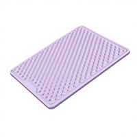 Tapis d'acupression rectangulaire en silicone souple, durable, écologique, portable, couleur personnalisée, pour la marche et le jogging en intérieur