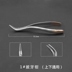 Pinzas de Extracción Dental de 16 cm con Empuñadura Moleteada para Mandíbula Superior, para Adultos y Mascotas, Instrumento Quirúrgico - Product Image 5