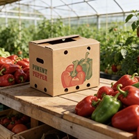 Boîte d'emballage en papier imprimée pour poivrons, écologique, recyclable, robuste, antichoc, résistante à l'humidité et empilable, vente en gros