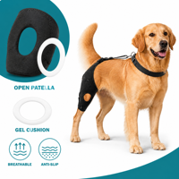 Orthèse réglable pour genou de chien ACL, support rotulien creux antidérapant pour la rééducation des pattes arrière, OEM ODM, approvisionnement en gros