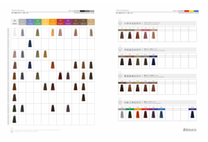 Best-seller professionale OEM tinture <span class=keywords><strong>per</strong></span> <span class=keywords><strong>capelli</strong></span> Swatch libro stile giapponese grafico colore <span class=keywords><strong>per</strong></span> il salone utilizzare <span class=keywords><strong>colori</strong></span> esatti - Product Image 5