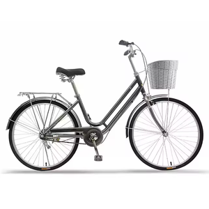 Vélo Classique Rétro Personnalisé pour Femmes à Vitesse Unique Vélo de Ville pour Femmes avec Panier pour Hommes de 26 Pouces - Product Image 3