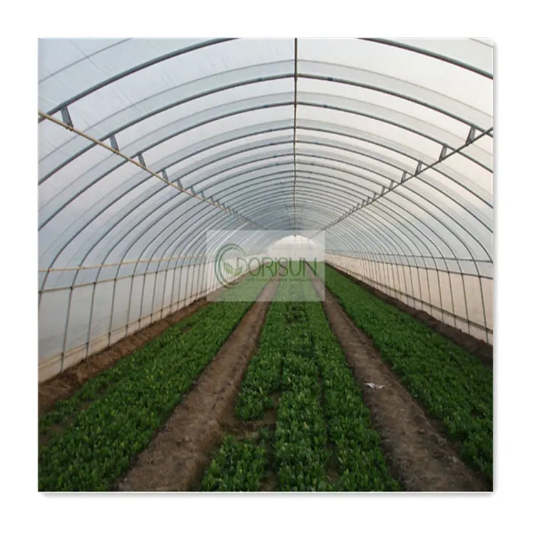 تصنيع الدفيئة Nft قناة الزراعة المائية الدفيئات لشباك حديقة الخضروات الدفيئة نفق واحد