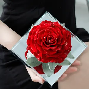 Ensemble Cadeau Saint Valentin 50 colores inmortal infinito rosas eternas en caja de regalo de acrílico perfecto San Valentín rosas preservadas