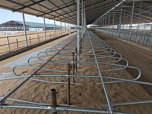 Nieuwe Gegalvaniseerde Melkkoe Boerderij Apparatuur Koe Vrije Kraam Boerderij Apparatuur Gegalvaniseerd Gratis Kraam Zuivelschuren - Product Image 3