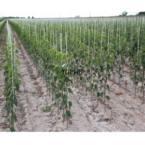 Best Quality FRP <b>Rod</b> Fiberglass Plant Stakes - Product Image 6