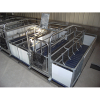 Structure en acier préfabriquée automatique porcherie ferme porcine caisse de mise bas conception porcherie hangar pour 100 porcs