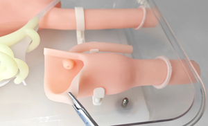 ERCP Model Gastroskopi Cerrahi Eğitim Modeli, ERCP Operasyonu, Duodenoskop Uygulaması, Yüzüstü Pozisyon (Başsız) - Product Image 3