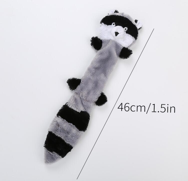 Grey raccoon