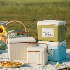 Glacière portable en plastique 6L 13L 18L pour camping, pique-nique, barbecue, voyages, événements sportifs, canettes de bière, logo personnalisé - Product Image 1