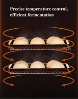 Machine électrique de fermentation de la pâte de yaourt de pain d'armoire de Fermentation de pain de 220V 40L contrôle d'humidité de la température ménage