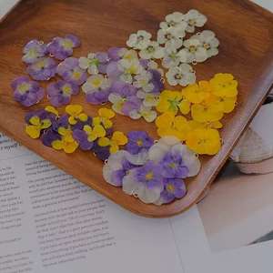 ต่างหูดอกไม้แห้งแท้แบบ DIY ขายส่ง จี้ดอกแพนซี่สีม่วง ทำมือจากดอกไม้แห้ง อุปกรณ์เสริมเครื่องประดับส่วนบุคคลสำหรับเป็นของขวัญ - Product Image 2