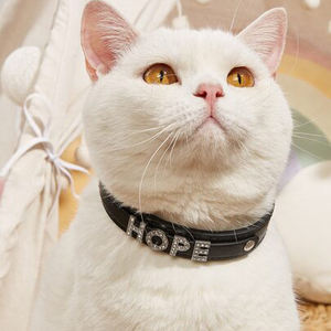 2024 suministros para mascotas, un juego de 26 piezas, abalorio de letras deslizantes de diamantes de imitación de <span class=keywords><strong>8mm</strong></span>, bricolaje, PARA CINTURÓN DE pulsera con nombre de cuero - Product Image 2