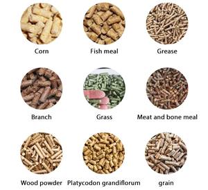 Granulateur de granulés d'alimentation à haute productivité granulateur de granulés d'alimentation faisant la machine - Product Image 5