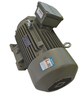 มอเตอร์อุตสาหกรรมสามเฟส IE2 IE3 Innomotics 110kw 123kw \67kw\75kw\49kw\55kw\40kw\45kw 83kw 50hz 60hz - Product Image 1
