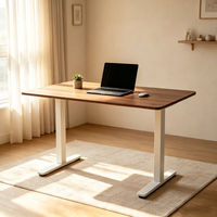 Bureau de travail électrique à prix bas certifié CE Rohs, double moteur, 2 pieds, ergonomique, respectueux de l'environnement, structure de bureau