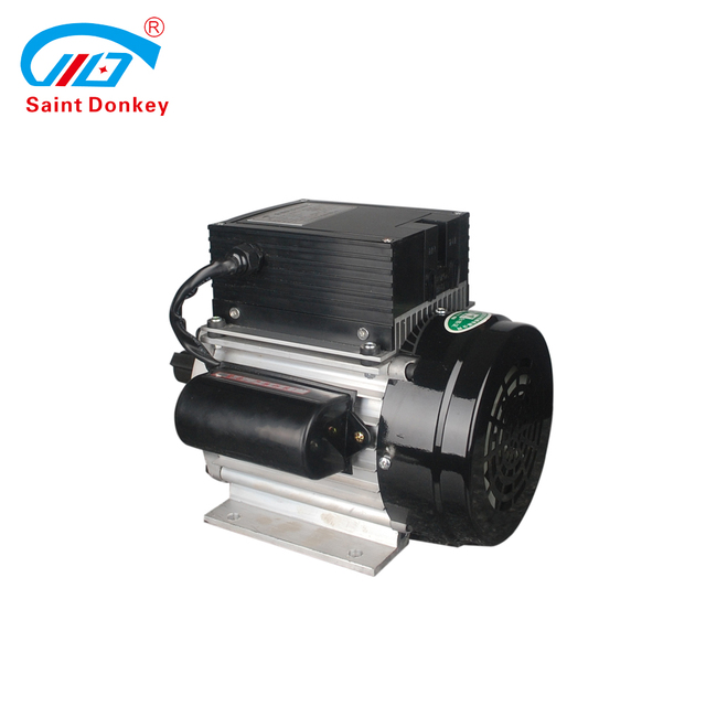 Saint Donkey Permanent Magnet Electric Motor