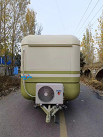 Restaurant entièrement équipé Pizza Taco Camion de nourriture pour la vente Camion de restauration rapide personnalisé Petit chariot de nourriture mobile électrique