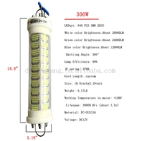 Lampe de Pêche LED Sous-Marine 12V-300W pour Calmars, Attracteur Lumineux pour Bateau, Lanterne Marine de Nuit, Accessoire de Leurre