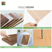 Anti Finger abdruck Travertin Pannello Esterno Phenol Laminat platten Panel Außen 3mm Anthrazit Sperrholz Sheed hpl