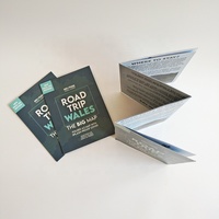 Papel guía personalizado impreso para turista, mapa plegable múltiple