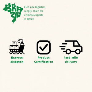 Sdoganamento All-Inclusive per la consegna porta a porta della linea speciale del veicolo di nuova energia brasiliana supporta il puro elettrico LCL + Express - Product Image 4