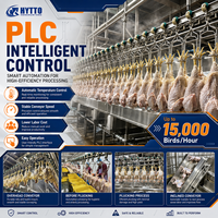 Équipement d'abattage halal CE, ligne d'abattage de volailles, ligne d'abattage de poulets, projet clé en main, ligne de traitement 3000-15000BPH