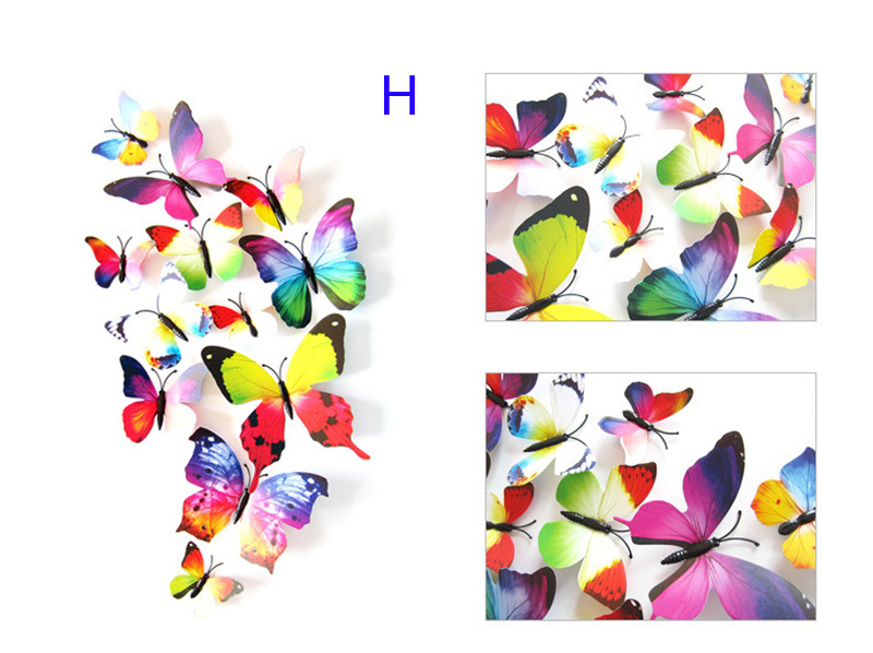 Arc-en-ciel
