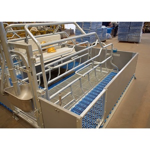 Equipo para Granjas Porcinas de Bajo Costo y Alta Calidad, Jaula de Parto para Cerdas con Piso con Comedero en Venta - Product Image 4