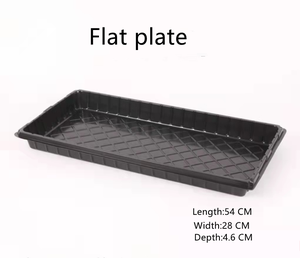 Vassoio per Semina in PET Resistente 54x28cm, per Germinazione di Verdure, Fiori e Frutta, Ideale per <span class=keywords><strong>Piante</strong></span> - Product Image 6