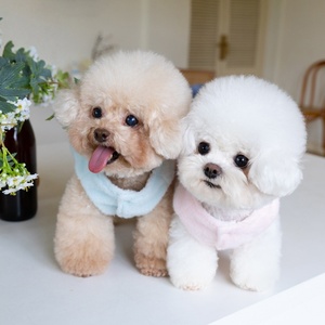 Robe à ailes mignonne pour petits chiens et chats, vêtements de fête pour anniversaire et vacances, disponible en tailles 2XS à 3XL pour le Newfoundland - Product Image 2