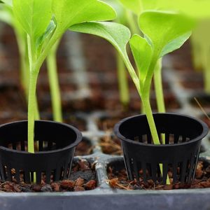 Pots en filet en plastique noir légers de 2/3/5/7 pouces pour la culture hydroponique, pots en filet pour la germination en pépinière et au <span class=keywords><strong>jardin</strong></span> - Product Image 3