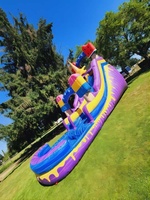 Piscine gonflable de toboggan de 27'H Popsicle Screamer avec la glissière de glissement n à vendre