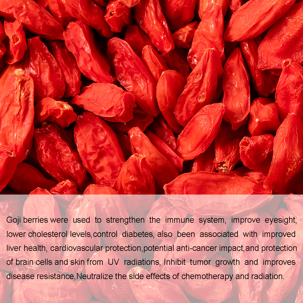 Красный Мощный QIZITO Ningxia Wolfberry Сертифицированный Zhongning Годжи бесплатный образец сушеных ягод Годжи